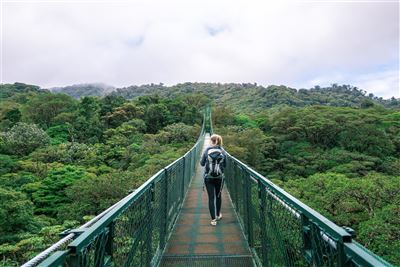 Blick über den Regenwald